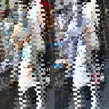 Hearts Revolution photo 10