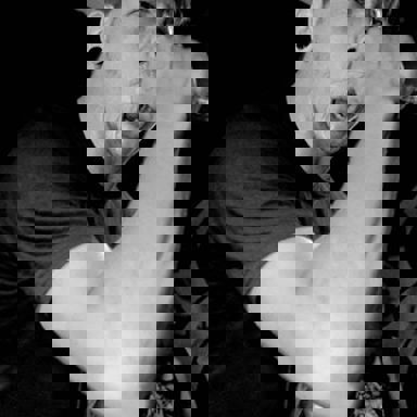 IDE (Intense Desire Exalt)