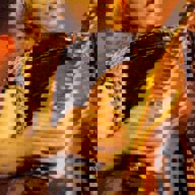 Iron Maiden photo 38