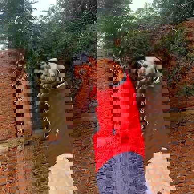 Jaco El Cland photo 17