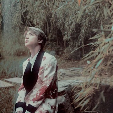 Jin (BTS) photo 39