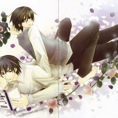 Junjou Romantica