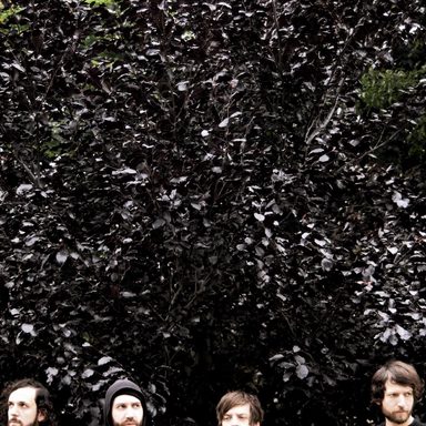 Junius