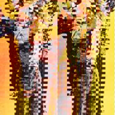 The Jackson 5 photo 9