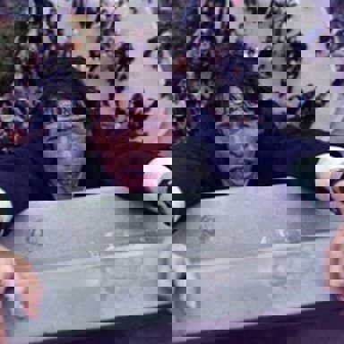 Jacques Brel photo 12