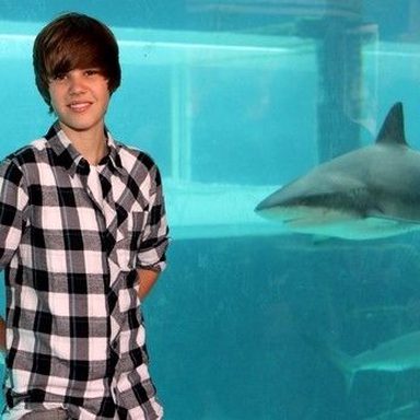 Justin Bieber photo 398