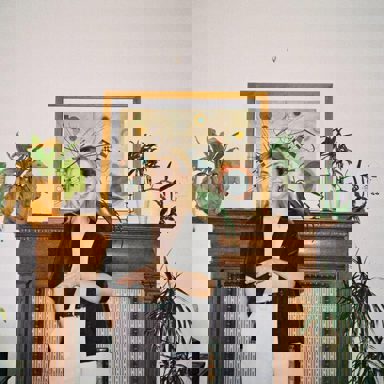 Katie Gregson-MacLeod