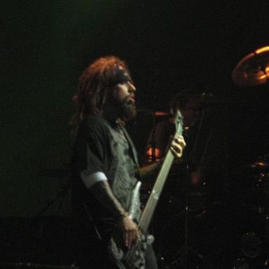 Korn photo 33
