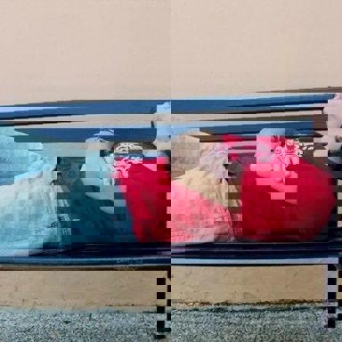 Kaio Campadelli photo 11