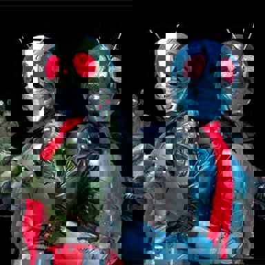 Kamen Rider photo 12