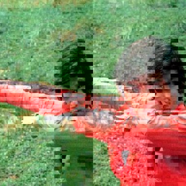 Kamen Rider photo 17