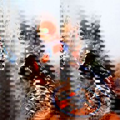 Kamen Rider photo 16