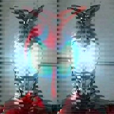 Kamen Rider photo 10