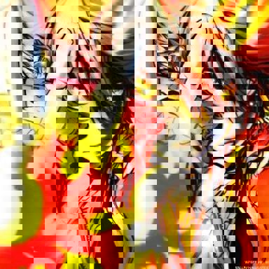 Katekyo Hitman Reborn photo 16