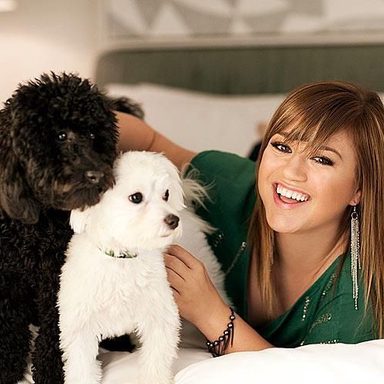 Kelly Clarkson photo 75