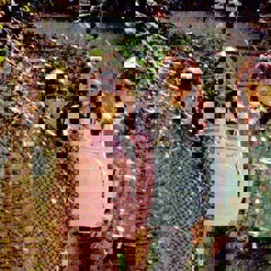 Lamp (Indie) photo 10