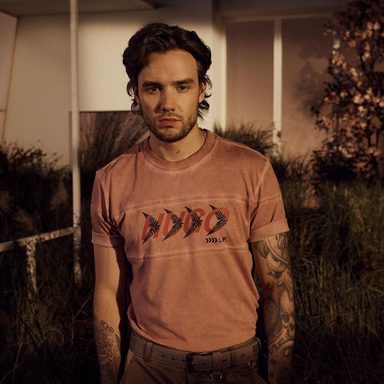 Liam Payne photo 326