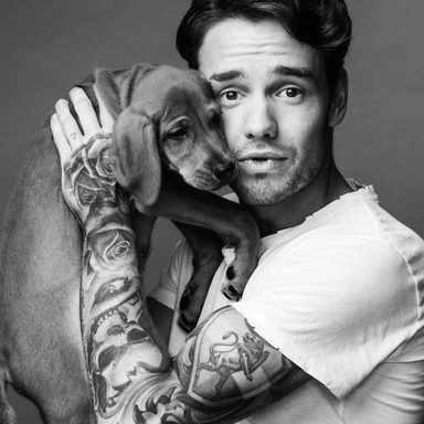 Liam Payne photo 261