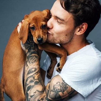 Liam Payne photo 210