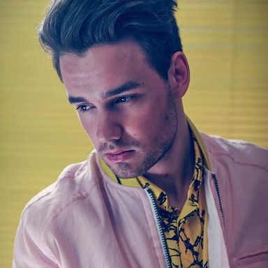 Liam Payne photo 220