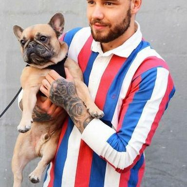 Liam Payne photo 316