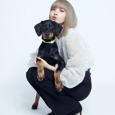 LISA (BLACKPINK) photo 67