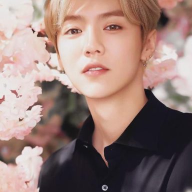 Luhan photo 20