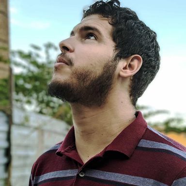 Luiz, o Visitante