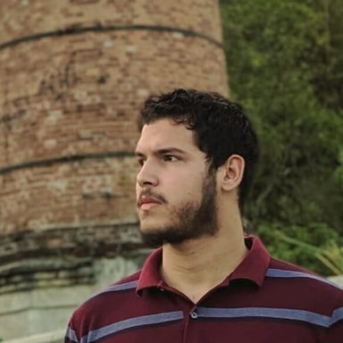 Luiz, o Visitante