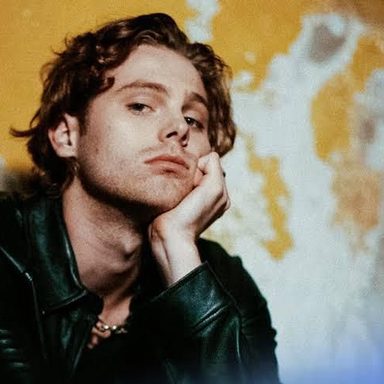 Luke Hemmings photo 24