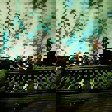 La Oreja de Van Gogh photo 20