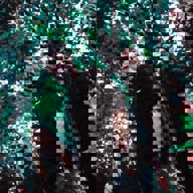 Lamb of God photo 11