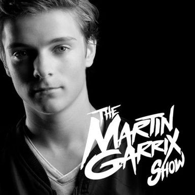 Martin Garrix photo 22