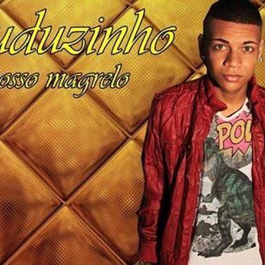 MC Duduzinho photo 22