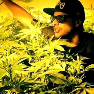 Mc Eltin
