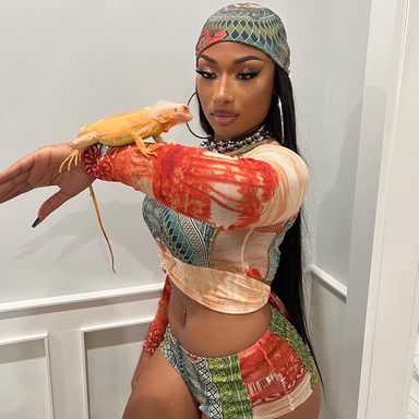 Megan Thee Stallion photo 21