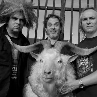 Melvins photo 10