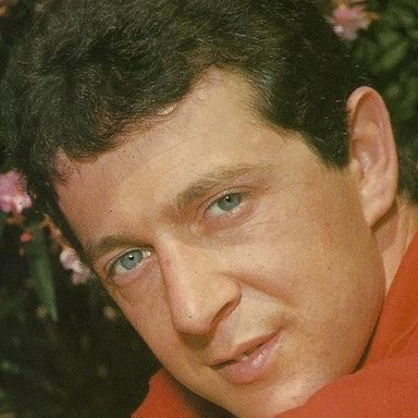 Memo Remigi