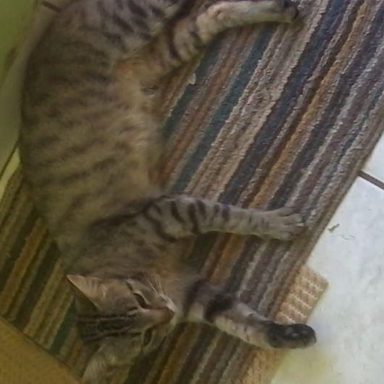 Mithisy Tiby