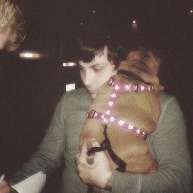 My Chemical Romance photo 29