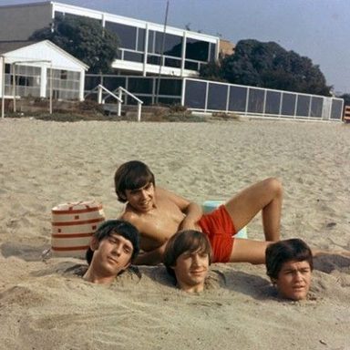The Monkees photo 14