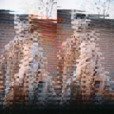 Mac DeMarco photo 19