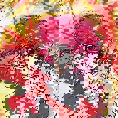 Magic Knight Rayearth