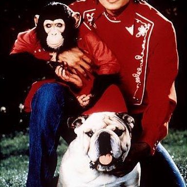 Michael Jackson photo 203