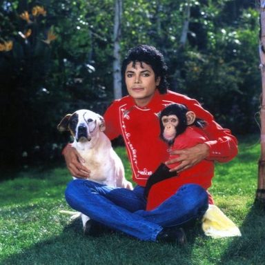 Michael Jackson photo 47