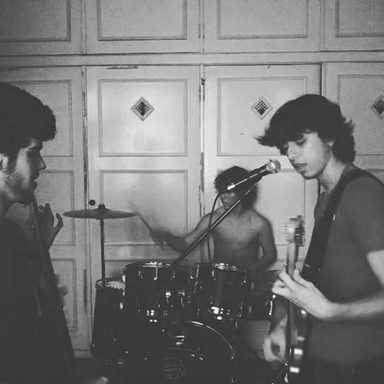 Nativistas Bastiatos photo 12