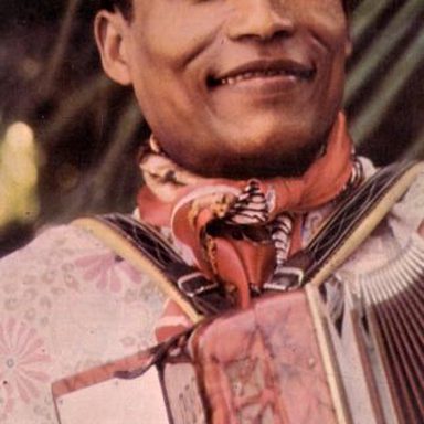 Negrão Dos Oito Baixos