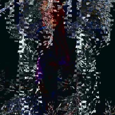 Nana Kitade photo 14