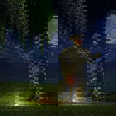 O Segredo Dos Animais