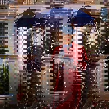 O Retorno de Mary Poppins